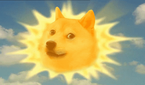 Doge